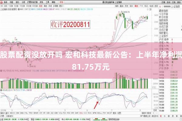 股票配资没放开吗 宏和科技最新公告：上半年净利润81.75万元