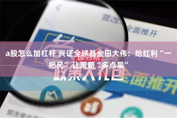 a股怎么加杠杆 兴证全球基金田大伟：给红利“一把尺” 让策略“多点量”