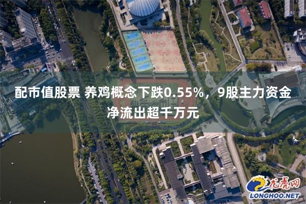 配市值股票 养鸡概念下跌0.55%，9股主力资金净流出超千万元