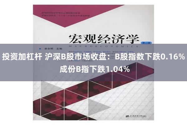 投资加杠杆 沪深B股市场收盘：B股指数下跌0.16% 成份B指下跌1.04%