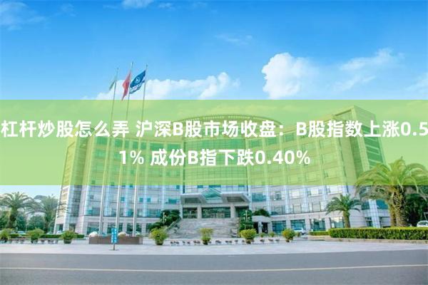 杠杆炒股怎么弄 沪深B股市场收盘：B股指数上涨0.51% 成份B指下跌0.40%