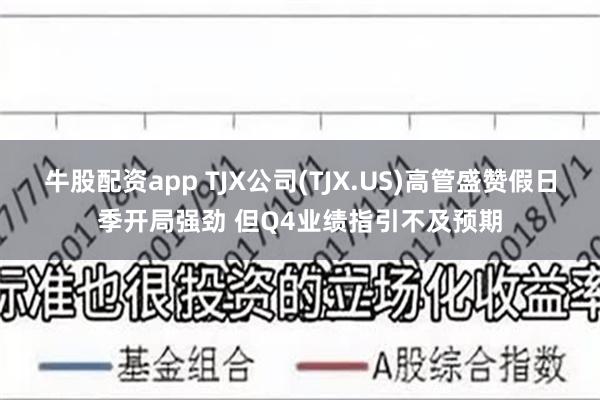 牛股配资app TJX公司(TJX.US)高管盛赞假日季开局强劲 但Q4业绩指引不及预期