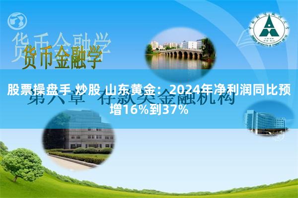 股票操盘手 炒股 山东黄金：2024年净利润同比预增16%到37%